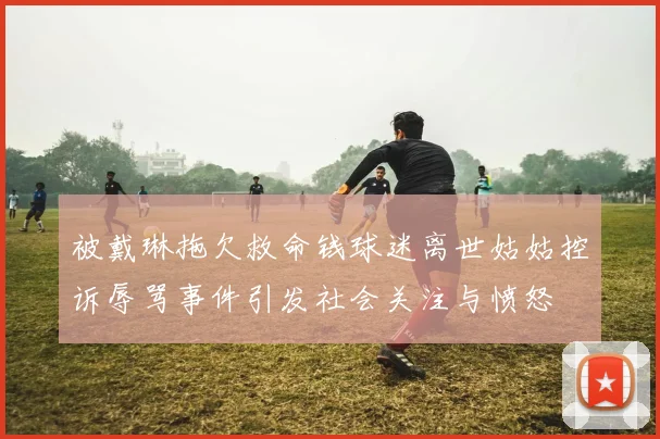 被戴琳拖欠救命钱球迷离世姑姑控诉辱骂事件引发社会关注与愤怒