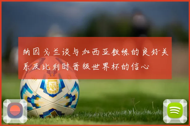 纳因戈兰谈与加西亚教练的良好关系及比利时晋级世界杯的信心